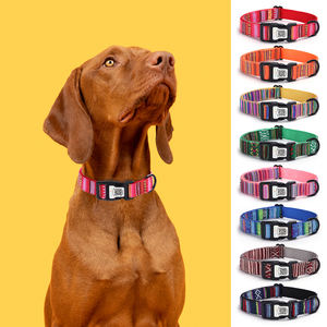 Collar de perro de nailon con etiqueta de identificación de código QR inteligente con patrón étnico sólido estilo bonito con características personalizadas - Product Image 1
