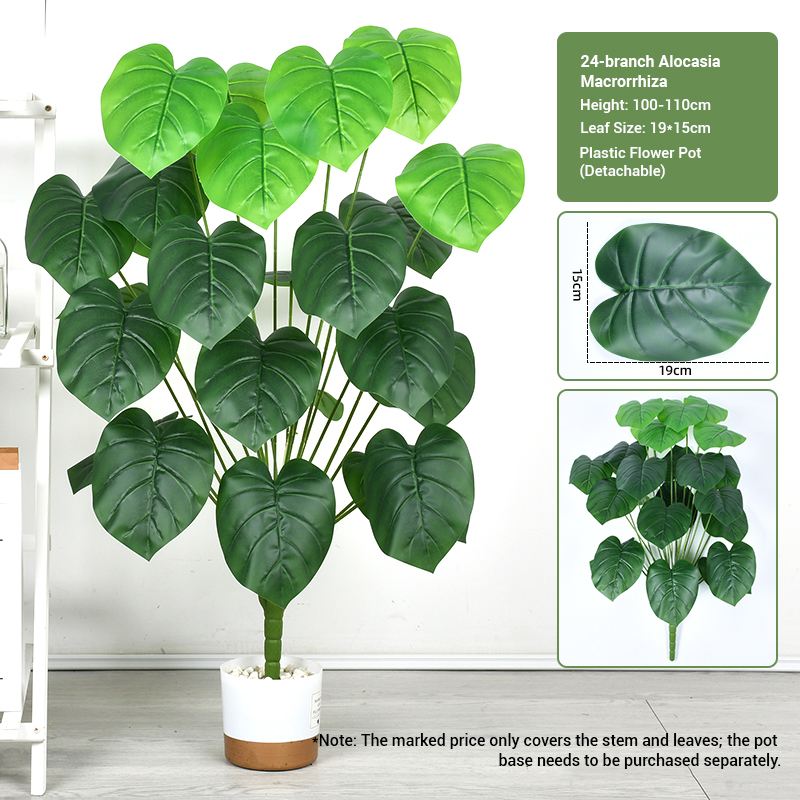 24 fourchettes dégoulinantes de Guanyin (100-110 cm)