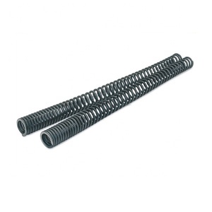 Lò Xo Phuộc Trước Giảm Chấn Tiến Bộ - Product Image 1