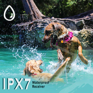 Haustierbedarf: Wiederaufladbares Ferngesteuertes Hundehalsband ohne Schockfunktion, Elektronisches Trainingshalsband mit Fernbedienung gegen Bellen - Product Image 4