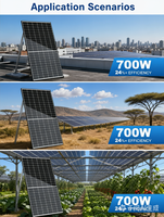Panneau solaire 650W 680W 700W 720W 740W, module bifacial de type N à double vitrage pour système solaire sur toit, centrale solaire au sol