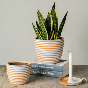 Style minimaliste intérieur extérieur jardin décoratif jardinières en céramique fleur succulente Pots <span class=keywords><strong>pour</strong></span> sol décoratif - Product Image 3