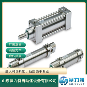 Piezas de Repuesto para Control Industrial de Cilindros, Serie Completa, Todos los Modelos, Piezas Neumáticas de Uso General - Product Image 3