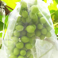 Atmungsaktiver Garten Pflanzens chutz Mesh Cover Netting Flower Fruit Grow Schutz beutel für Trauben tomaten Bananen Pfirsich Apfel
