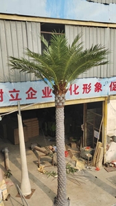 Palma <span class=keywords><strong>da</strong></span> datteri palma artificiale alta simulazione decorazione esterna grande albero artificiale all'aperto piante artificiali all'aperto - Product Image 4