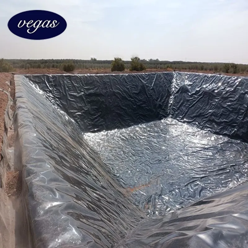Pabrikan geombrane HDPE Vegas Liner kolam tahan air 0.1-5.0mm harga membran Geo Hdpe lembar kolam ikan