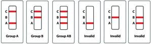Kit <span class=keywords><strong>de</strong></span> Tipificación Sanguínea Felina - Marca Winbio, Instrumento Veterinario <span class=keywords><strong>de</strong></span> Fácil Operación para <span class=keywords><strong>la</strong></span> Tipificación Sanguínea <span class=keywords><strong>de</strong></span> Mascotas <span class=keywords><strong>en</strong></span> Clínicas Veterinarias - Product Image 6