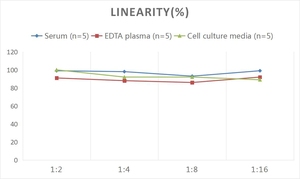 Kit ELISA PLAU/<span class=keywords><strong>uPA</strong></span> humano (activador de plasminógeno tipo uroquinasa) - Product Image 3