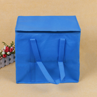 Sac isotherme pour bière 15L, sac thermique en aluminium avec fermeture éclair, imperméable, pour pique-nique, fête en plein air