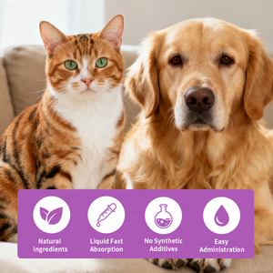 Tetesan infeksi ragi alami 60ml, cairan pendukung kesehatan mantel kulit hewan untuk anjing kucing mendukung rasa OEM - Product Image 4