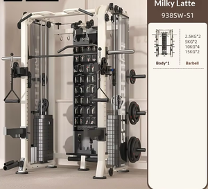Máquina Smith Multifuncional de Acero para Gimnasio en Casa, Soporte para Sentadillas Todo en Uno, Entrenador Integral <span class=keywords><strong>Flybird</strong></span>, Modelo Unisex DZYD - Product Image 6
