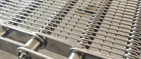 Kleine gaasbandtransportband voor voedselsortering, productielijn, transportband voor fruit- en groentereiniging, transportmachine