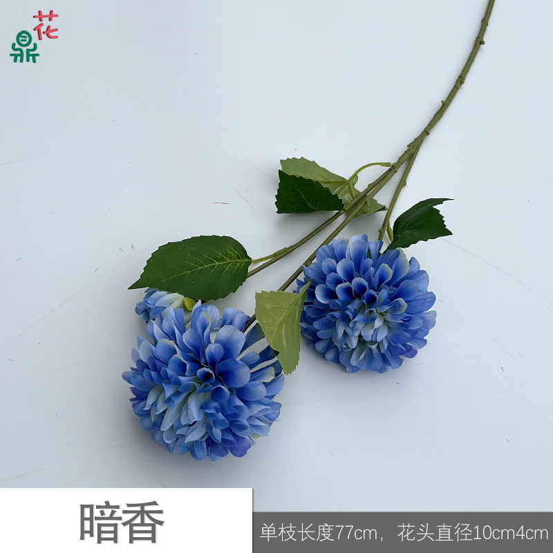 Parfum foncé Y, bleu profond