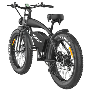 Bicicleta de Montaña de Alta Potencia de 1200W con Llantas Grandes, 48V 18A, Sin Electricidad, Hd-b3 - Product Image 5