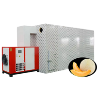 Industriële fruitdroger met warmtepomp, grootschalige professionele drooginstallatie