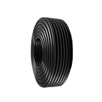 Cable de alimentación con revestimiento impermeable para exteriores de cobre estándar RVV 2 núcleos 3 núcleos 10 16 25 35mm Cable trifásico 450V/750V