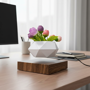 Pot de fleurs nordique miniature écologique à <span class=keywords><strong>lévitation</strong></span> magnétique avec base <span class=keywords><strong>en</strong></span> bois, pot à bonsaï flottant pour usage domestique - Product Image 3