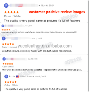 Vente en gros de haute qualité 15-18CM tissu d'habillage à franges en plumes d'autruche plumes artificielles doux et moelleux - Product Image 4