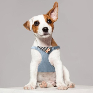 Set <span class=keywords><strong>Harness</strong></span> dan Tali Anjing Bahan Denim dengan Kerah Kotak-kotak yang Ringan dan Dapat Disesuaikan, Termasuk <span class=keywords><strong>Harness</strong></span> dan Tali - Product Image 2