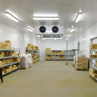 Promenade industrielle dans le réfrigérateur-congélateur grande chambre froide de stockage