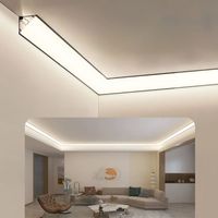 Système de profilés LED en aluminium pour plafond, éclairage principal, grand format, blanc/noir