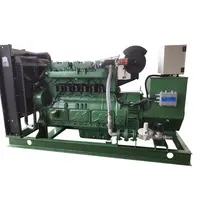 Biogas Electricity Generators with Factory Price, 80 KW