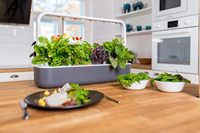 Click Grow Smart Garden Experimental 9-Pack, design moderne, pots numériques pour plantes, écologiques, luxueux, pour une utilisation au sol