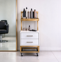 Chariot de rangement moderne en acier inoxydable à 4 roues pour salon de beauté et coiffeur
