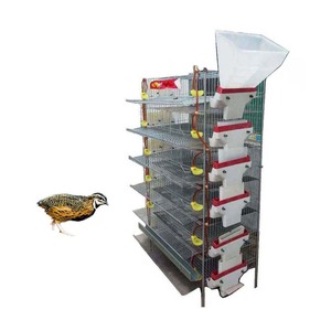 Quail cage excellent quality quail breeding cages HJ-QC400A