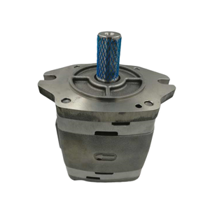 Pompe à engrenages hydraulique haute pression <span class=keywords><strong>IPV</strong></span> IPVP IPVAP IPN IPM IPNL série IPVP 5-50 101 IPVP 5-64 101 pompe à huile à engrenages - Product Image 3