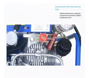 Pompe à air pour respirateur à pression positive, pompe <span class=keywords><strong>de</strong></span> remplissage haute pression 30 MPa, <span class=keywords><strong>bouteille</strong></span> <span class=keywords><strong>gonflable</strong></span> submersible 20 MPa - Product Image 4