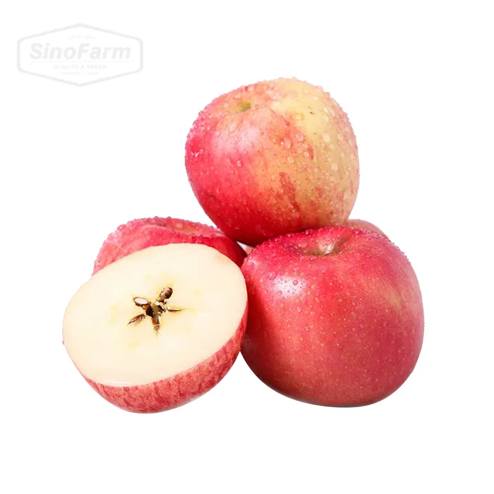 Chinese fresh fruits hot selling good quality new crop Fuji apple from China