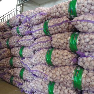 Proveedor de Ajo Fresco Estándar Chino para Venta al por Mayor de Ajo Blanco Normal a Precio de Mayoreo - Product Image 1