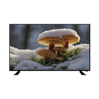 Factory Outlet 19 22 24 26 32 inci TV cerdas 43 50 55 65 Inch TV LED menerima Custom TV Android