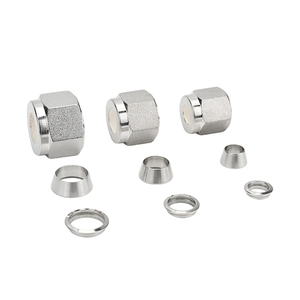 Capuchon de compression de type P SUS316L 3000 psi pour l'étanchéité des extrémités de tuyaux, usage industriel - Product Image 1