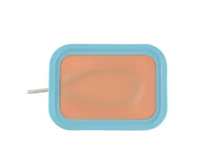 New Design Injection Training Pad Silicon Suture Practice Pad Suture Practice Kit Skin Module Training Products