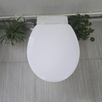 Siège de toilette de bidet de lavage femelle autonettoyant à double buse personnalisé en forme de O