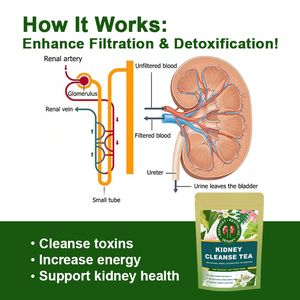 Té Desintoxicante de Hierbas Orgánicas Naturales para la Salud Renal, Reduce la Micción Frecuente y Apoya el Metabolismo - Product Image 2