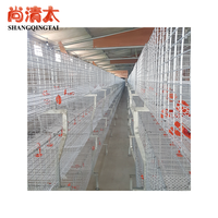Cage automatique pour poulets de chair Yuanbao en forme de H Conception durable et peu encombrante pour une production de viande efficace