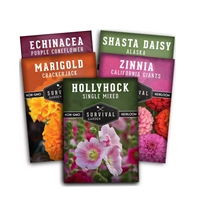 Set peralatan kebun koleksi bunga 5 buah-Hollyhock dan Shasta Daisy dan Coneflower dan Marigold dan Zinnia