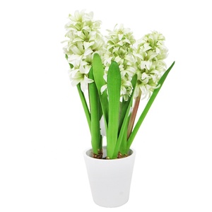 Hyacinthe artificiel blanc délicat avec <span class=keywords><strong>des</strong></span> accents de rose pâ<span class=keywords><strong>le</strong></span> dans un pot en céramique poussiéreux, un délice romantique pour la table - Product Image 6