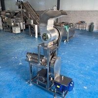 RVS schroefpers voor granaatappelsap, voor fruitverwerkingsbedrijven, met motor en kerncomponenten.