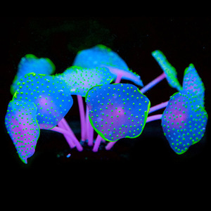Vente en gros d'usine, décoration de plantes coralliennes artificielles en silicone à 11 feuilles pour aquarium, décoration de poissons d'aquarium, oursons de mer sous-marins en provenance du Guangdong - Product Image 1