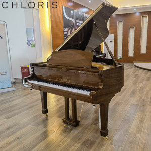 Piano à queue acoustique Chloris en bois de noyer, modèles Hg158wa Hg-158wa - Product Image 1
