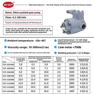 Venta Directa de Fábrica: Bomba de Engranajes Cicloidal TOP-210/212/216HBM-VB para Aceite Lubricante de Máquinas de Conformado en Frío, Fabricada en Shenzhen, China, Alta Eficiencia - Product Image 2