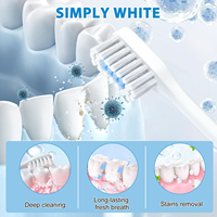 Brosse à dents électrique sonique rechargeable, étanche, manche en bambou, soins bucco-dentaires pour adultes, 5 modes, charge USB, brosse à dents blanchissante, OEM