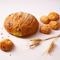 Levain sec instantané nutritionnel de marque Double Star Baker, fabriqué en Chine, pour la fabrication du pain