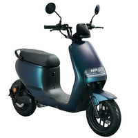 Scooter électrique/E-roller de haute qualité 800W 48V 28.6AH avec batterie Li-ion amovible, étanche, 45 km/h, en alliage d'aluminium, homologué EEC COC