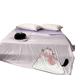 Kids Quilt Ice Silk Cooling Duvet Summer Thin 2-2.5 Jin Cartoon Applique Simple Style For Children Home Use - Product Image 5