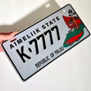 Plaques d'<span class=keywords><strong>immatriculation</strong></span> personnalisées en aluminium gaufré sur mesure pour voitures électriques - Finition brillante, couleur personnalisée, ajustement universel - Product Image 2